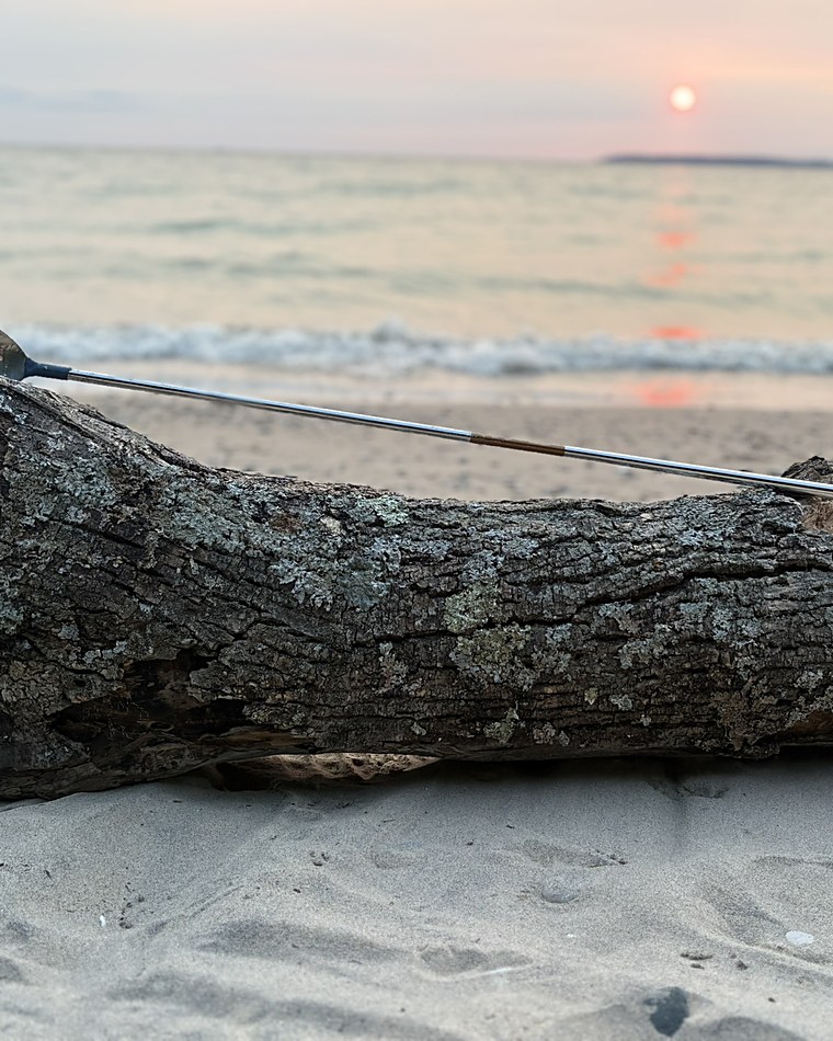 the berk resting on a driftwood log