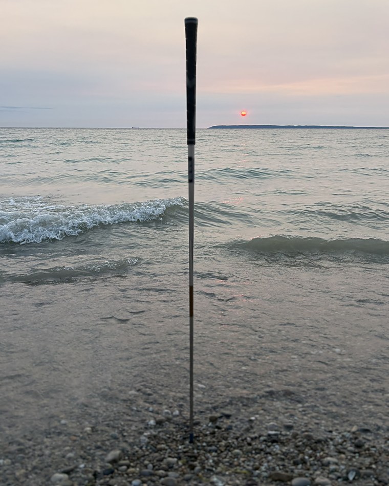 the berk standing in the shallows at sunset