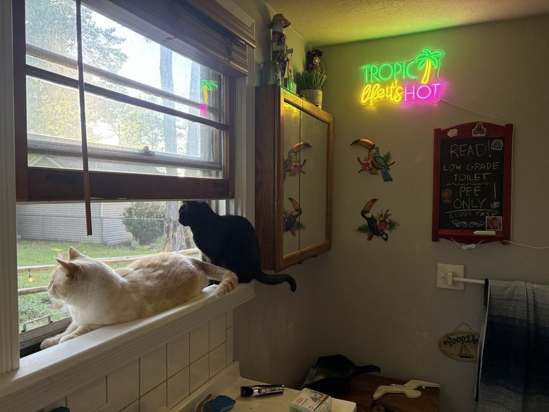 Lucy and Calvin sharing the window sill