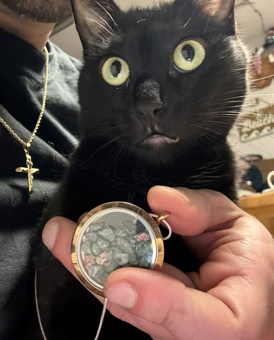 Lucy inspecting a locket full of small stones