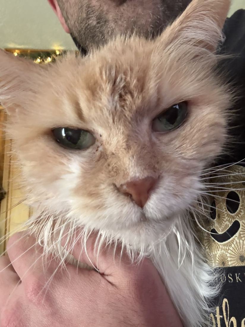 Murphy, the old one