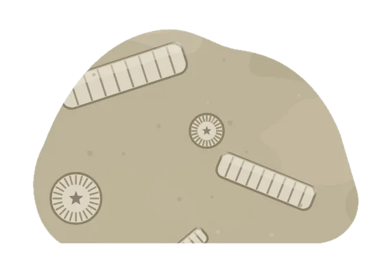crinoid, drawn