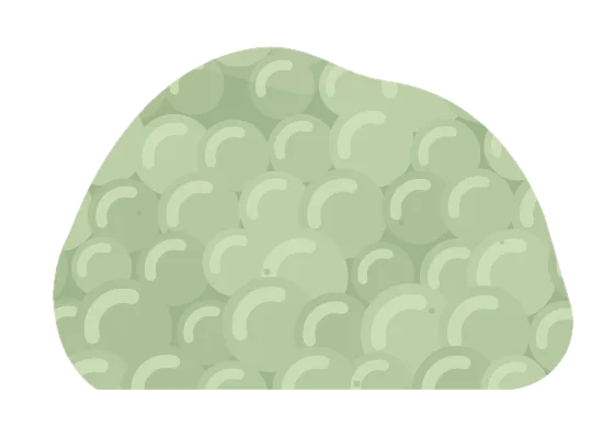 prehnite, drawn