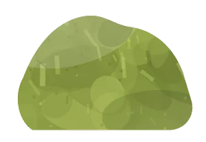 epidote