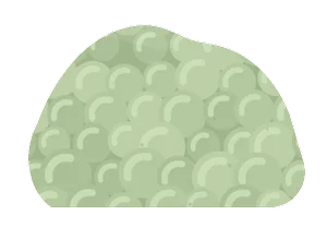prehnite