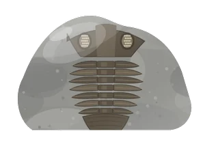 trilobite
