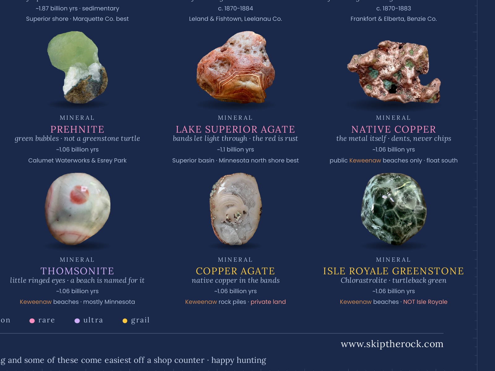 the specimens field guide poster