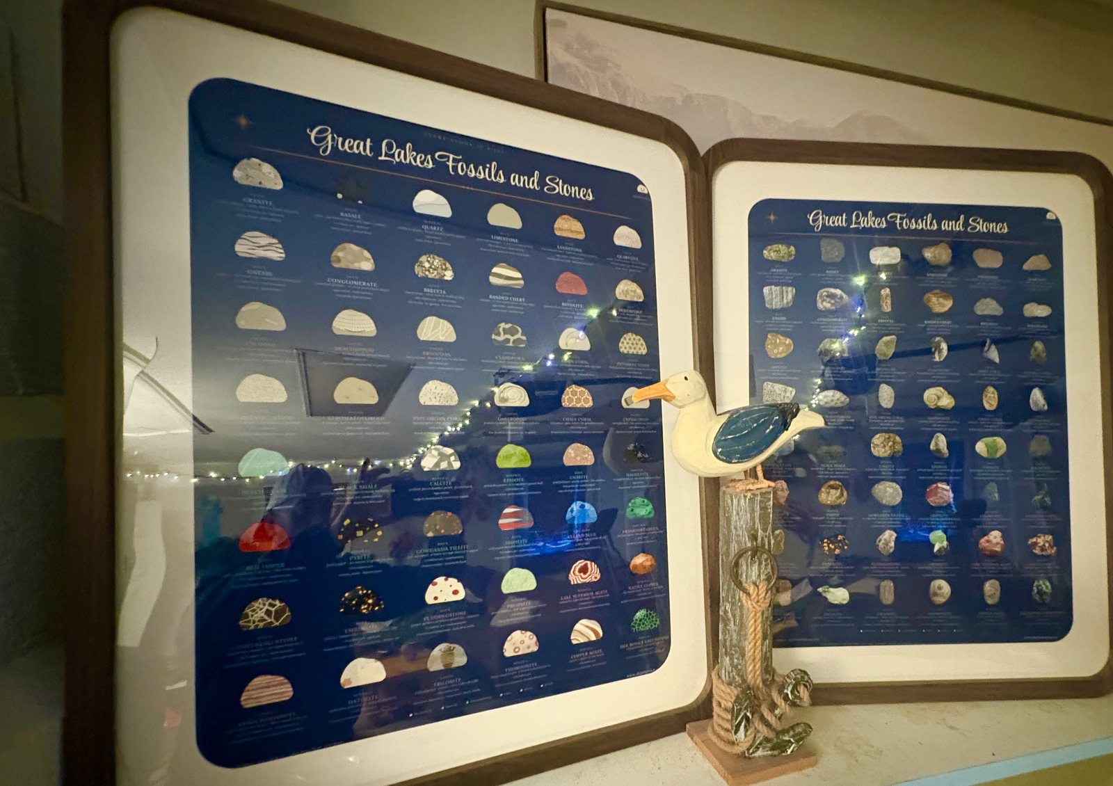 Both Great Lakes Fossils and Stones field guides, framed, on the shelf at Higgins Lake